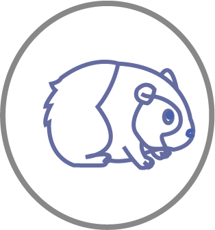 png12